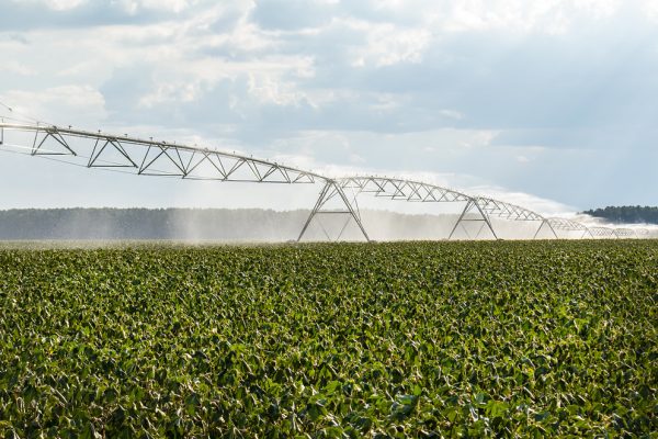 New farm export policy targets doubling of agri shipments