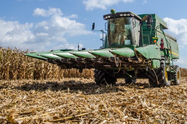 Wheat procurement crosses target in northern states