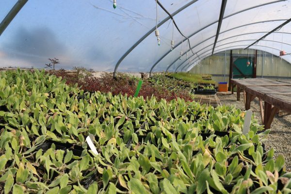 Cold storage capacity to expand under new plan