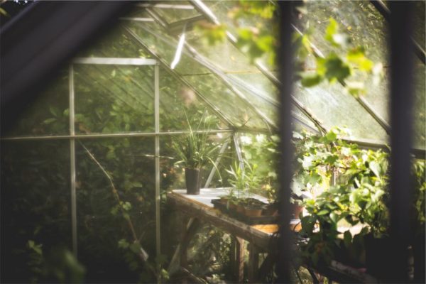 Soil health card renewal drive begins this month