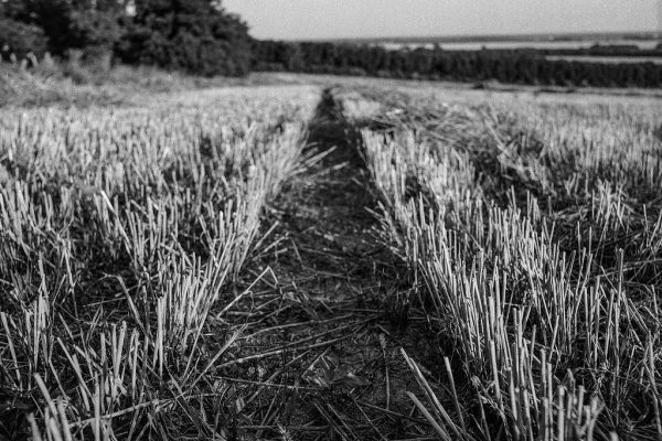 Agri startups raise funding for supply-chain tech
