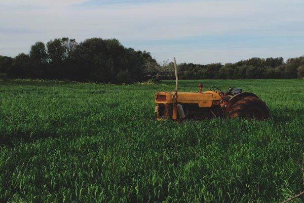 TNAU trials precision farming on paddy plots